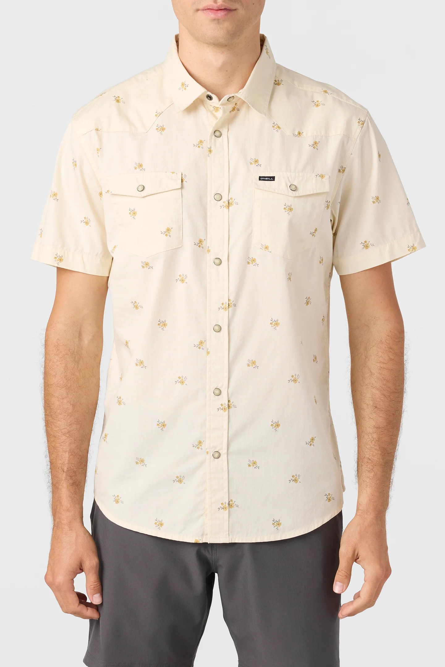 Bar Dog Snap Standard Fit Shirt - Image 2