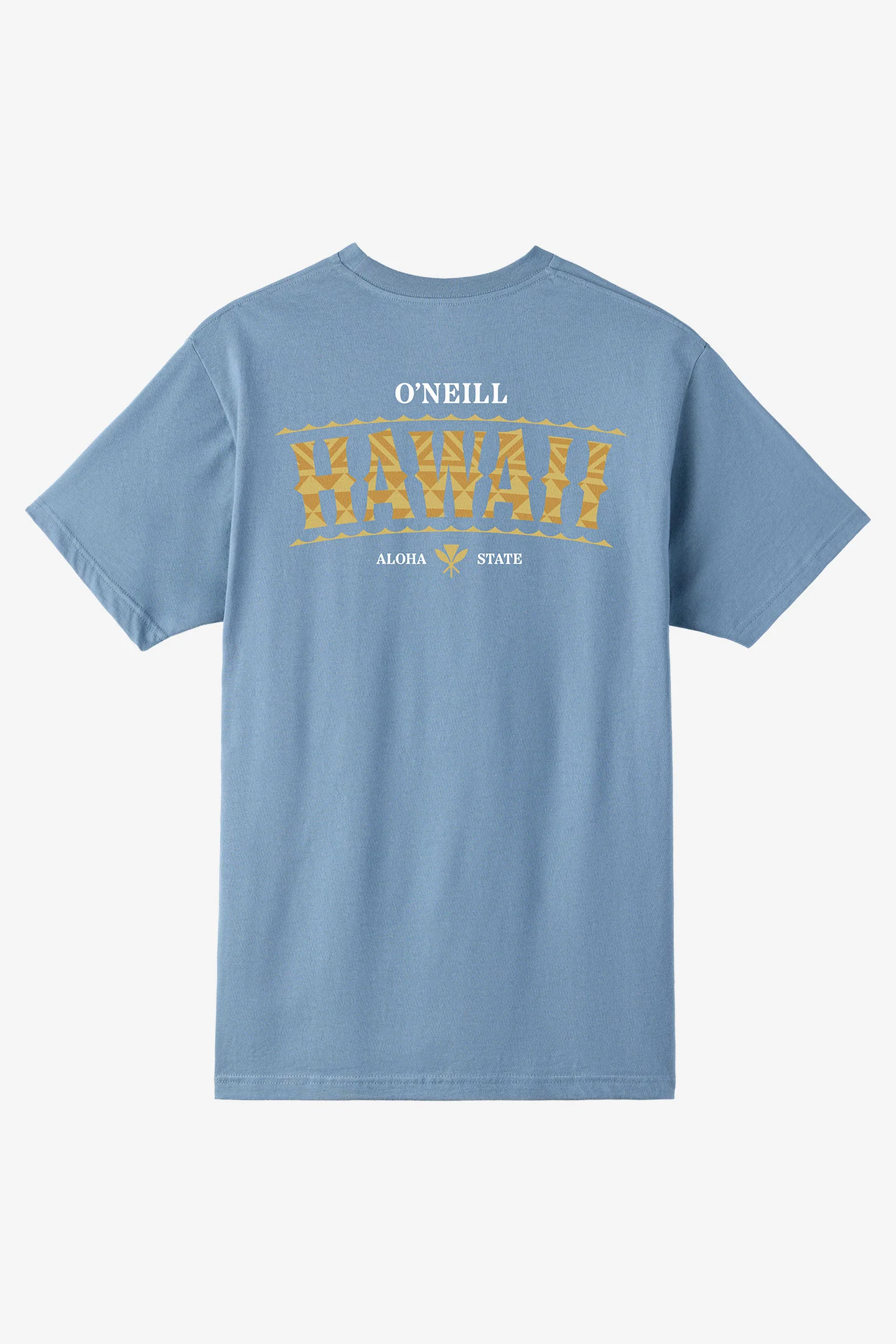 Boy's Hawaii Arch Tee