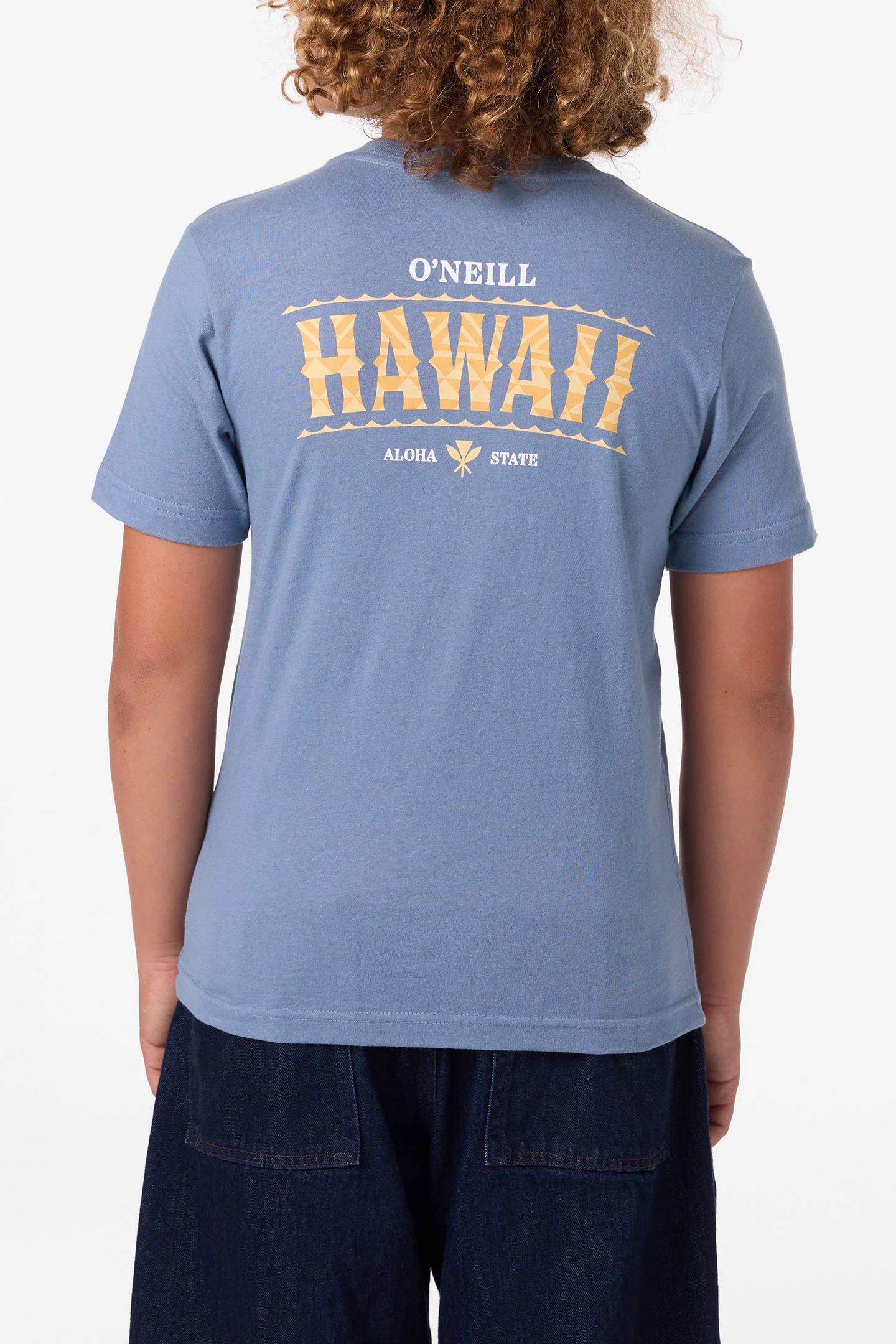 Boy's Hawaii Arch Tee - Image 2