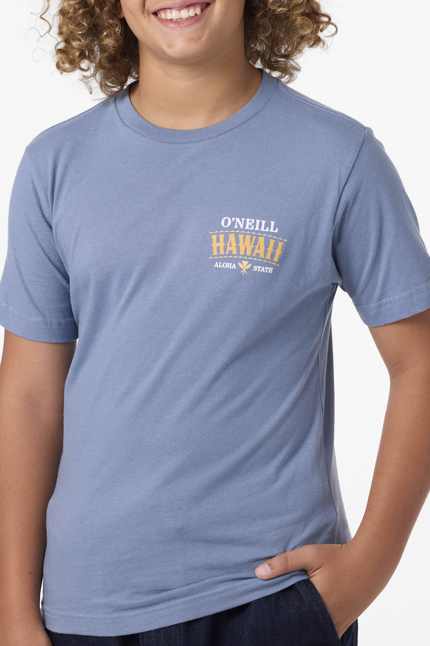 Boy's Hawaii Arch Tee - Image 3