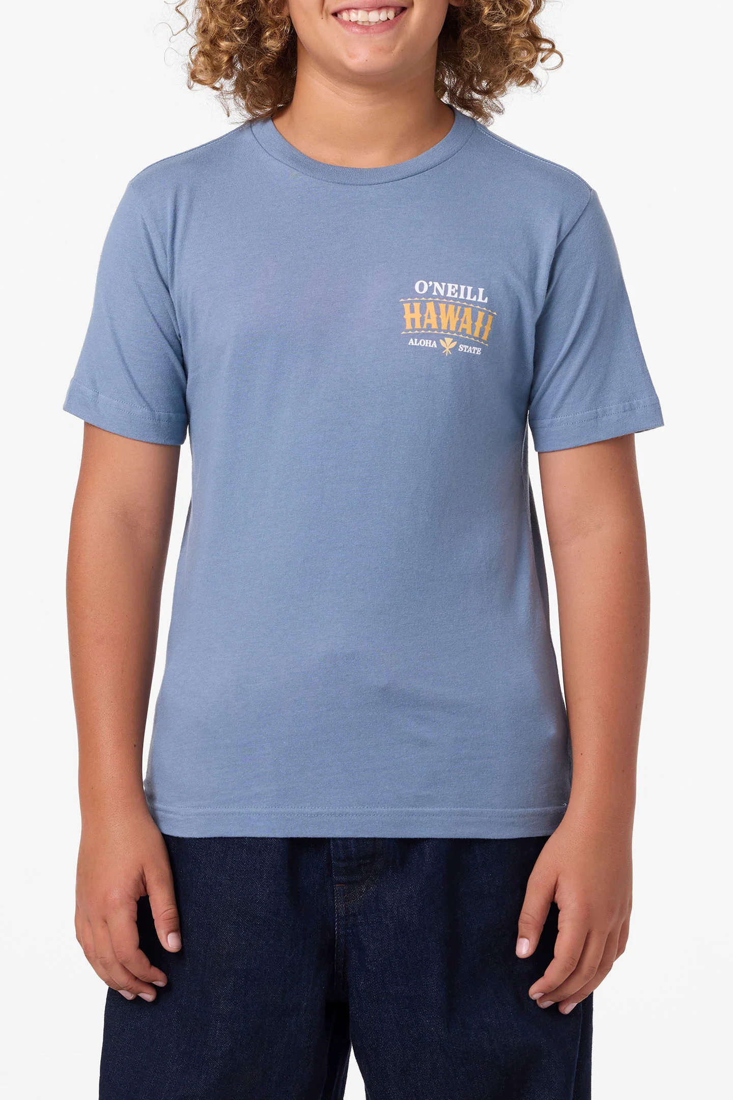 Boy's Hawaii Arch Tee - Image 5