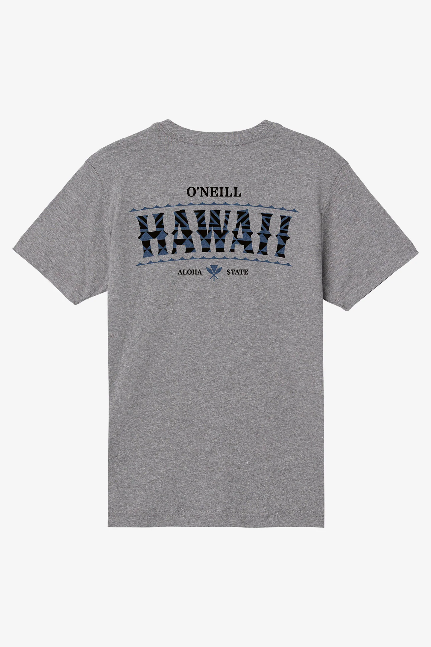 Boy's Hawaii Arch Tee