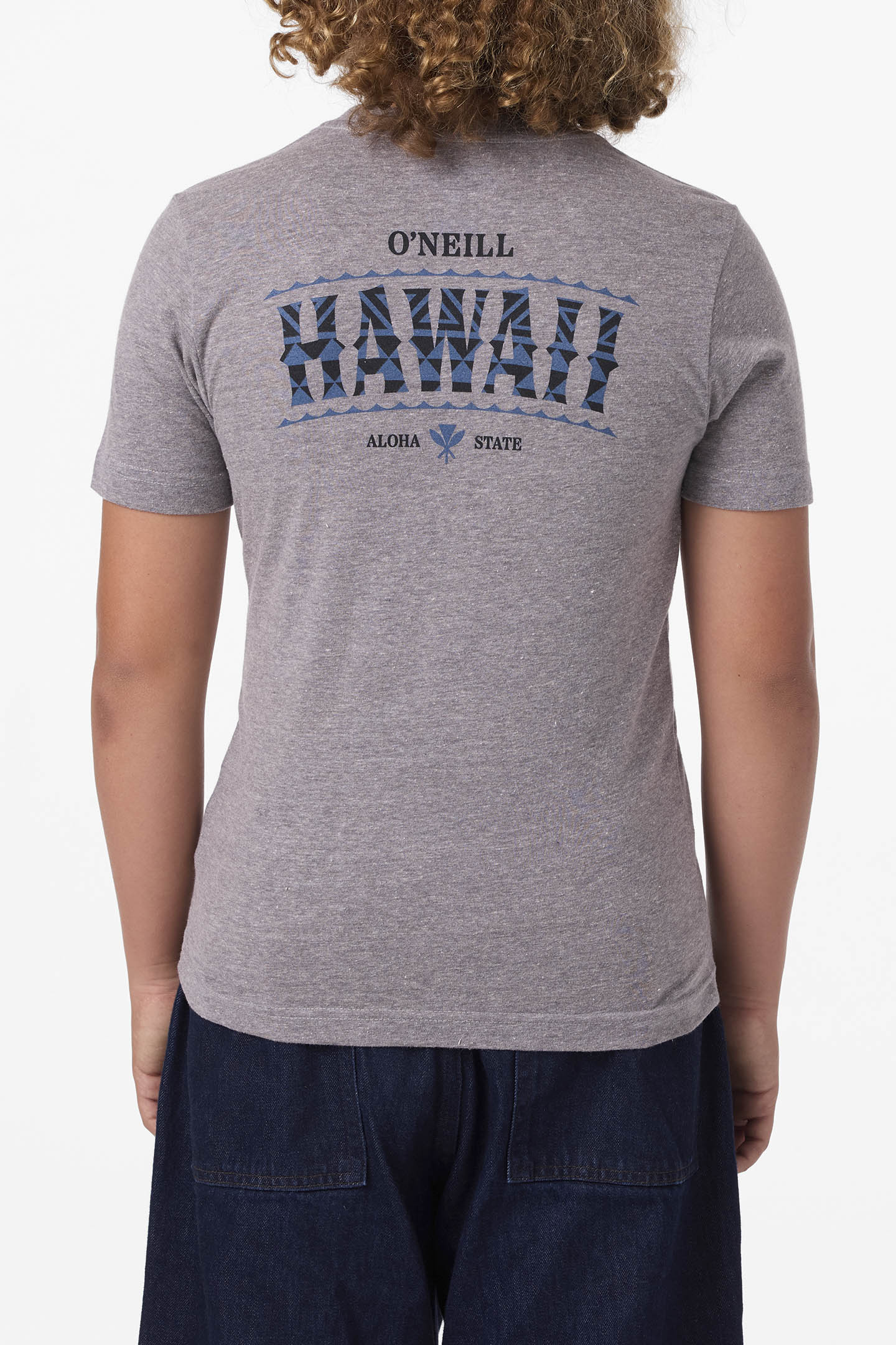 Boy's Hawaii Arch Tee - Image 2