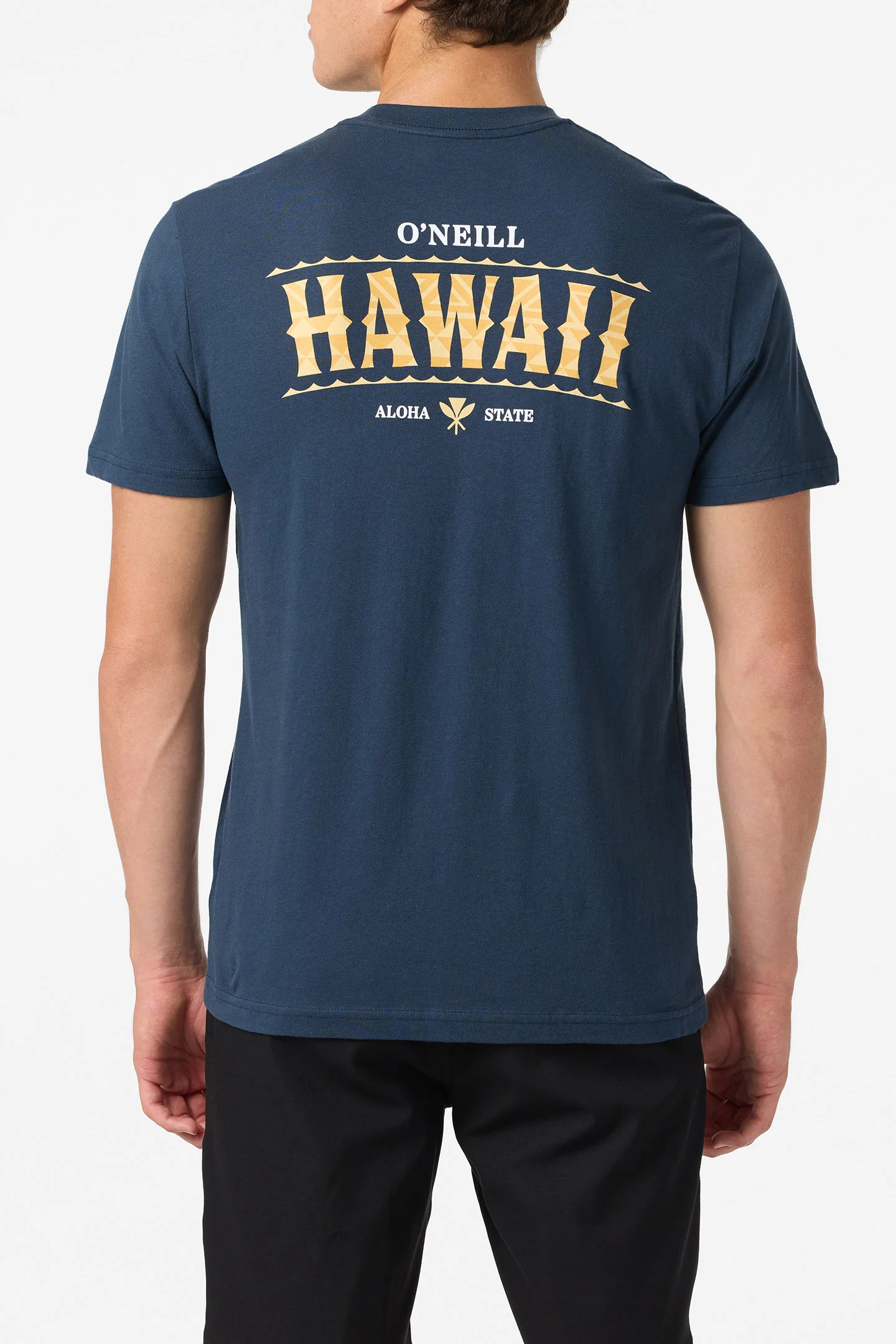 Hawaii Arch Standard Fit Tee - Image 3