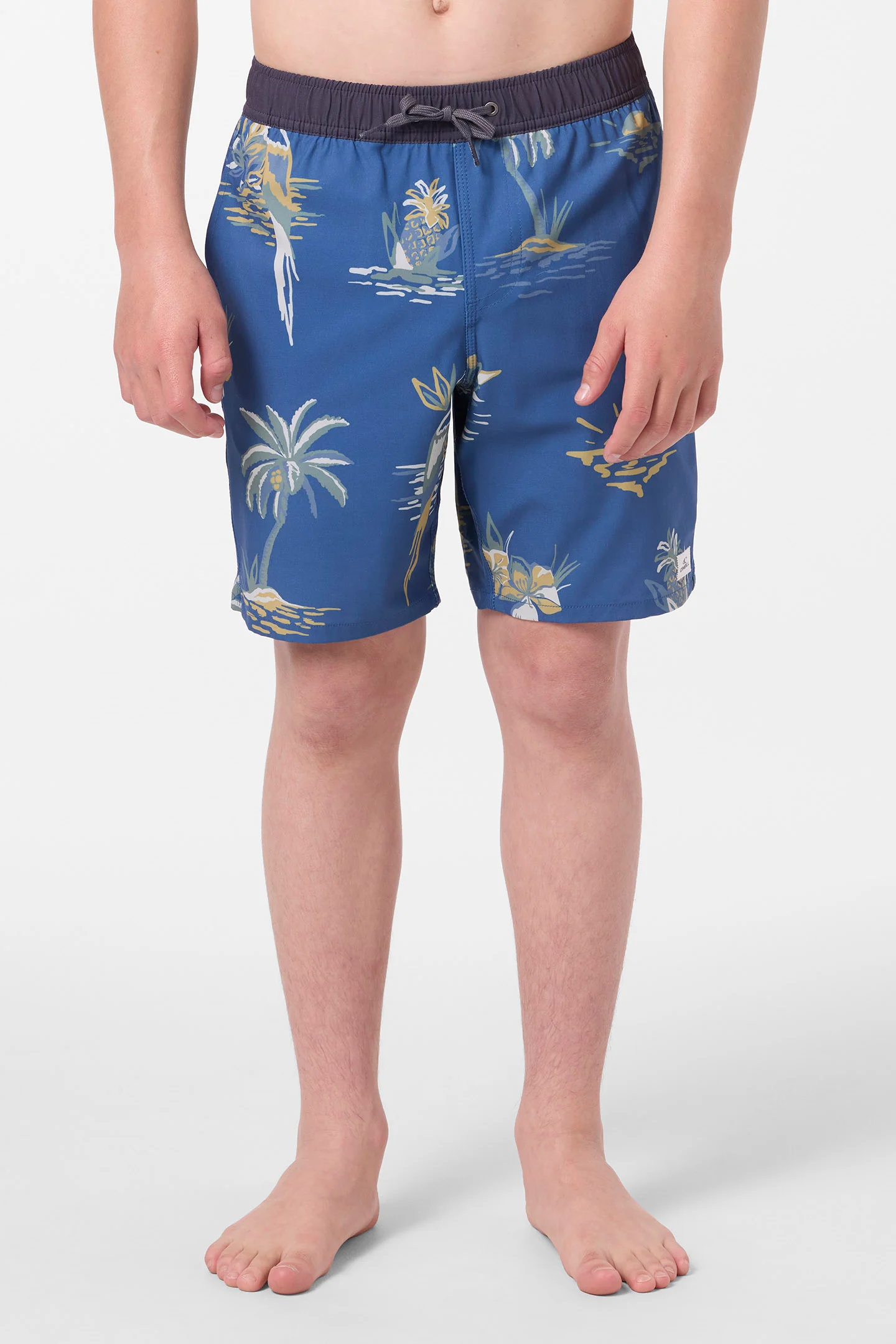 Boy's Hermosa Elastic Waist Lined 16" Swim Trunks - Image 2
