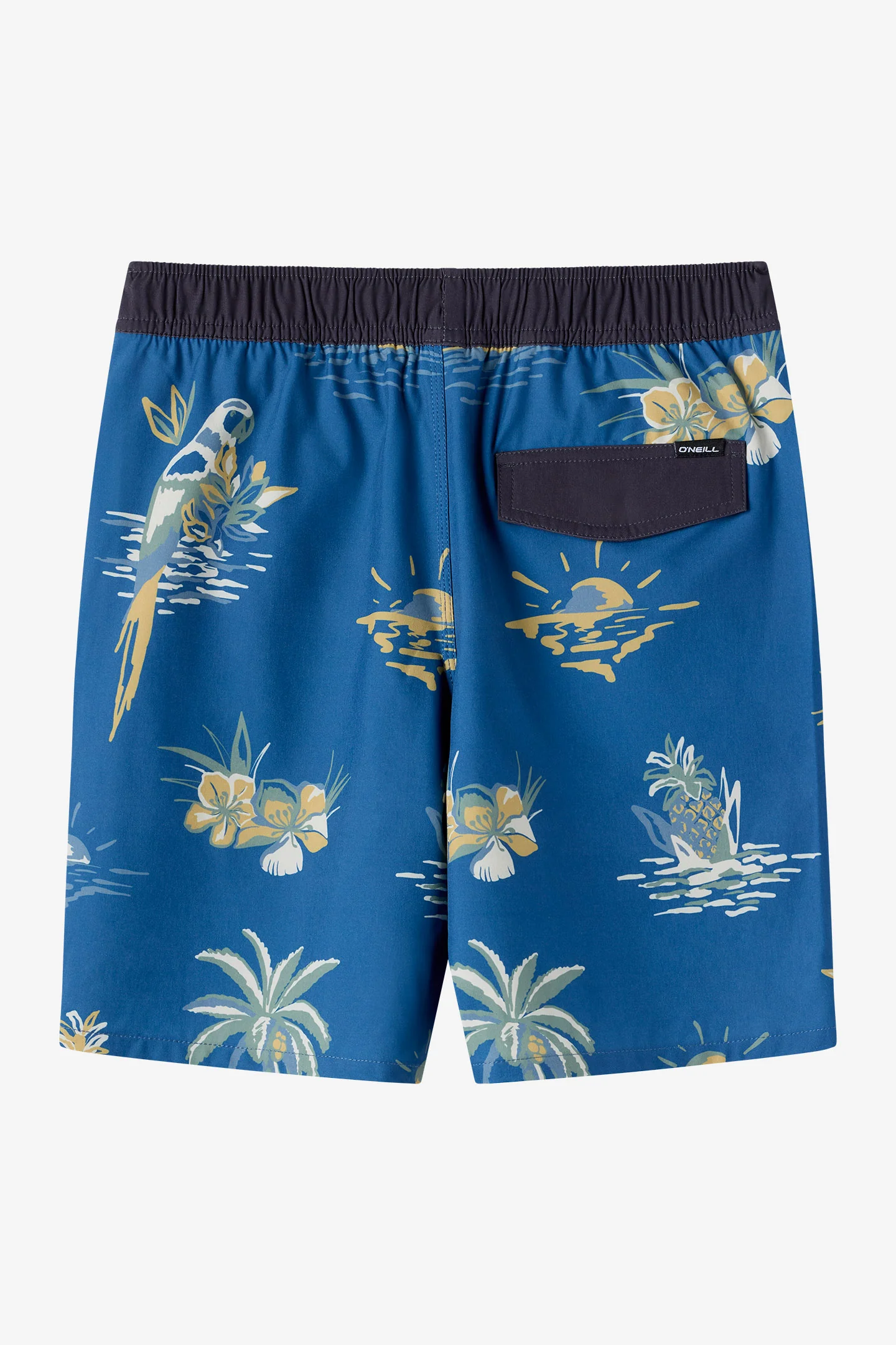 Boy's Hermosa Elastic Waist Lined 16" Swim Trunks - Image 6