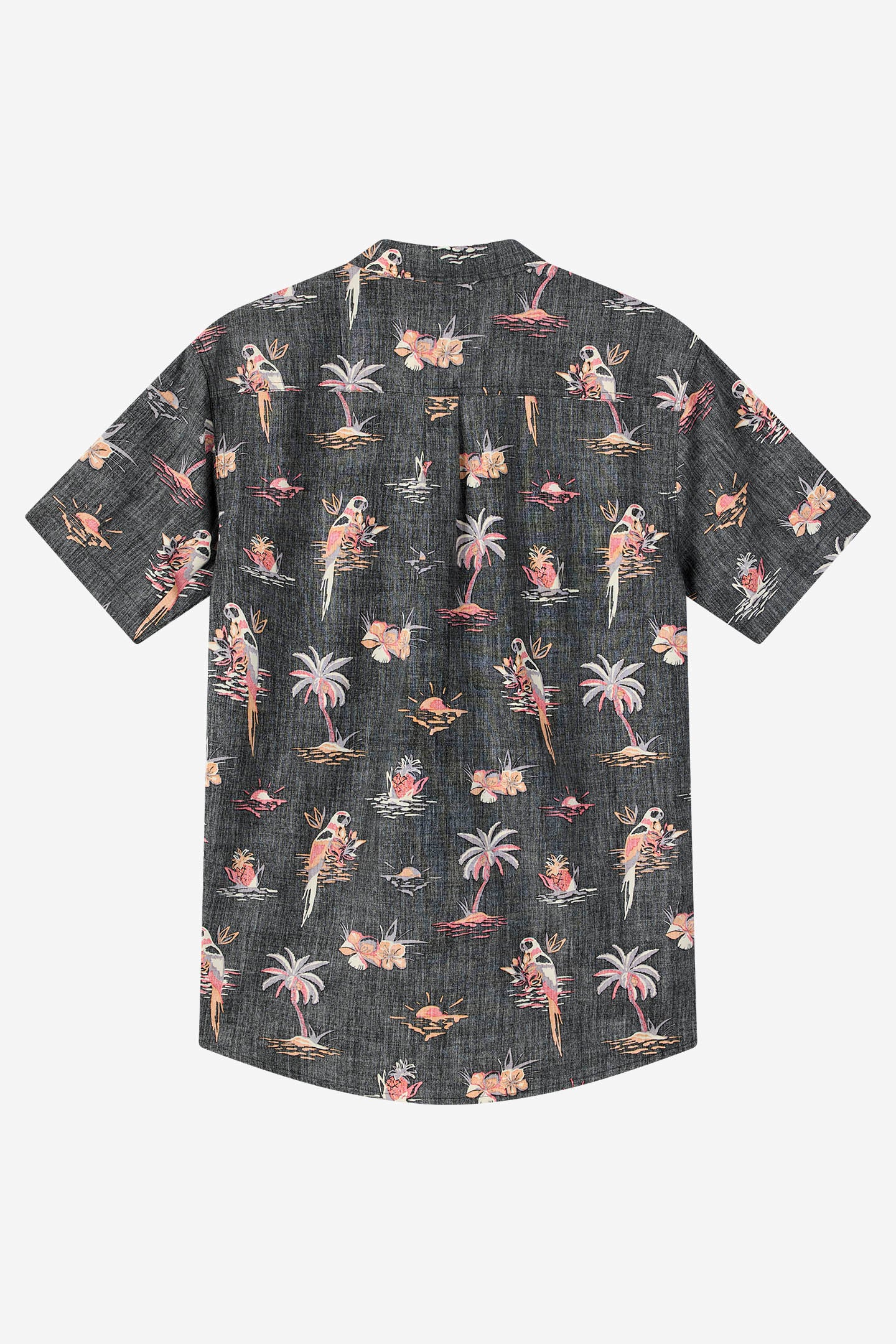 Boy's Oasis Shirt - Image 5