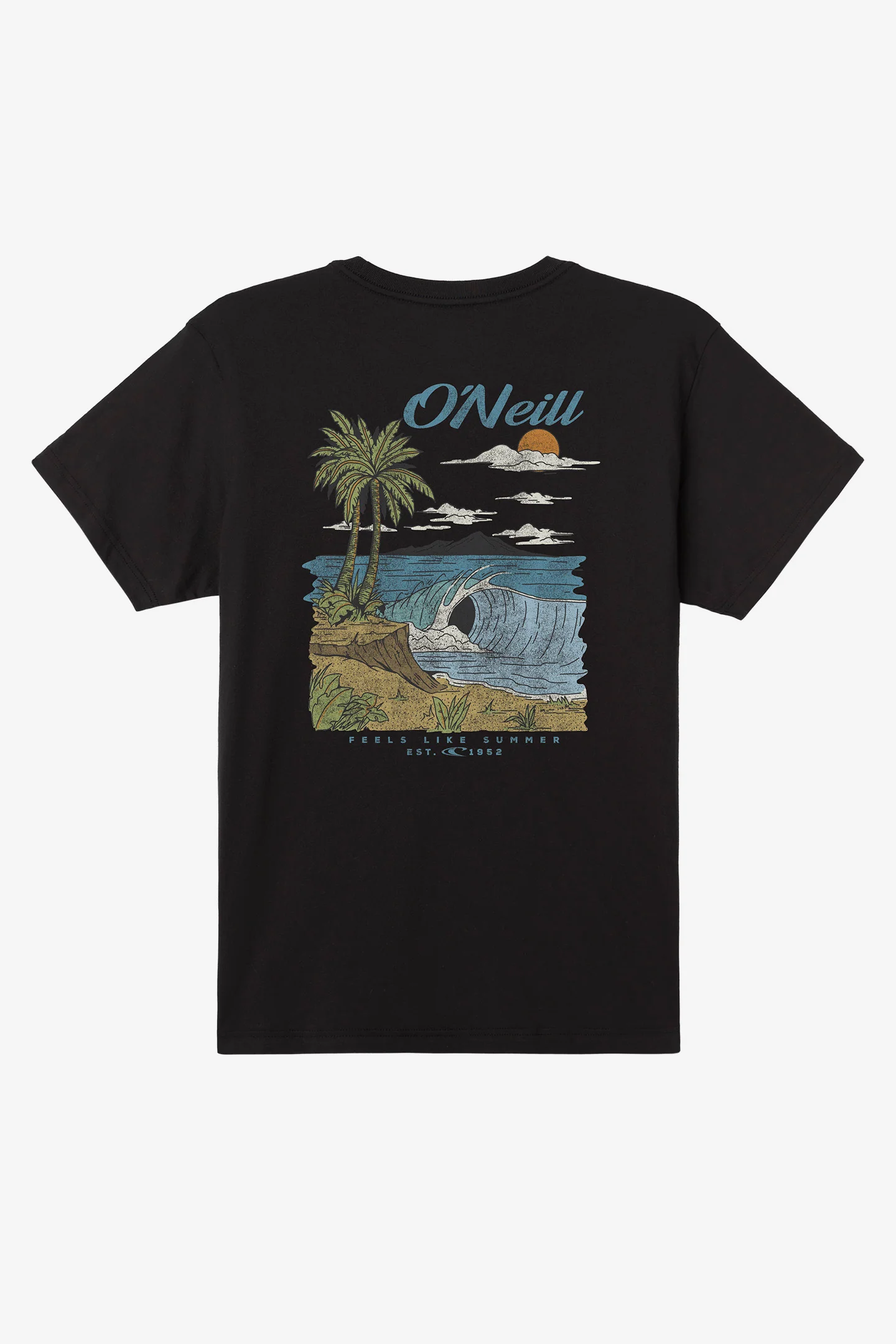 Shorebreak Standard Fit Tee