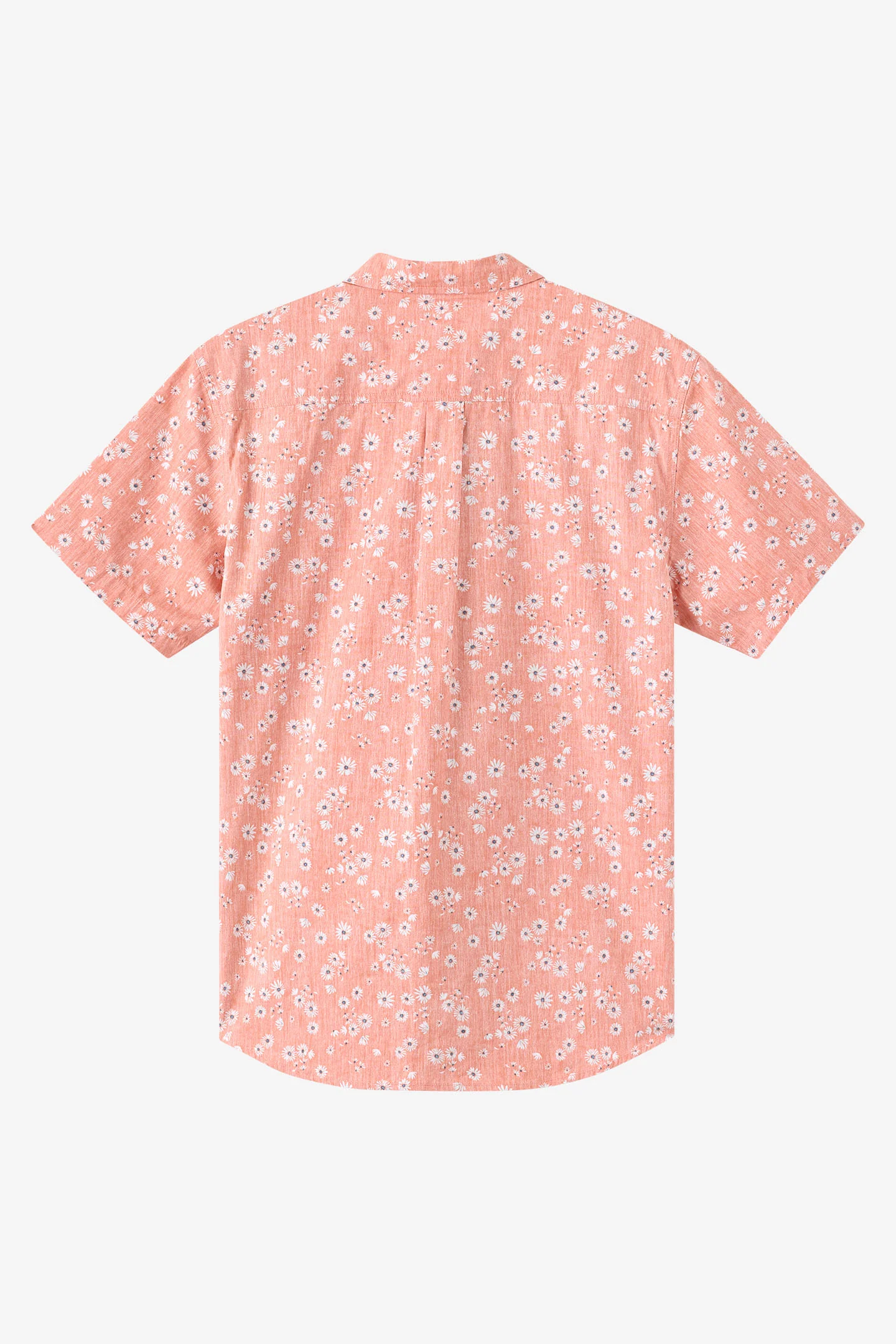 Terrace Standard Fit Shirt - Image 6